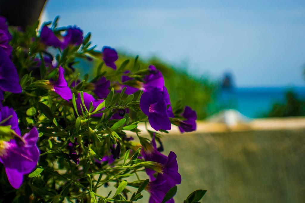 Agathi Beach House Agios Gordios  Bagian luar foto