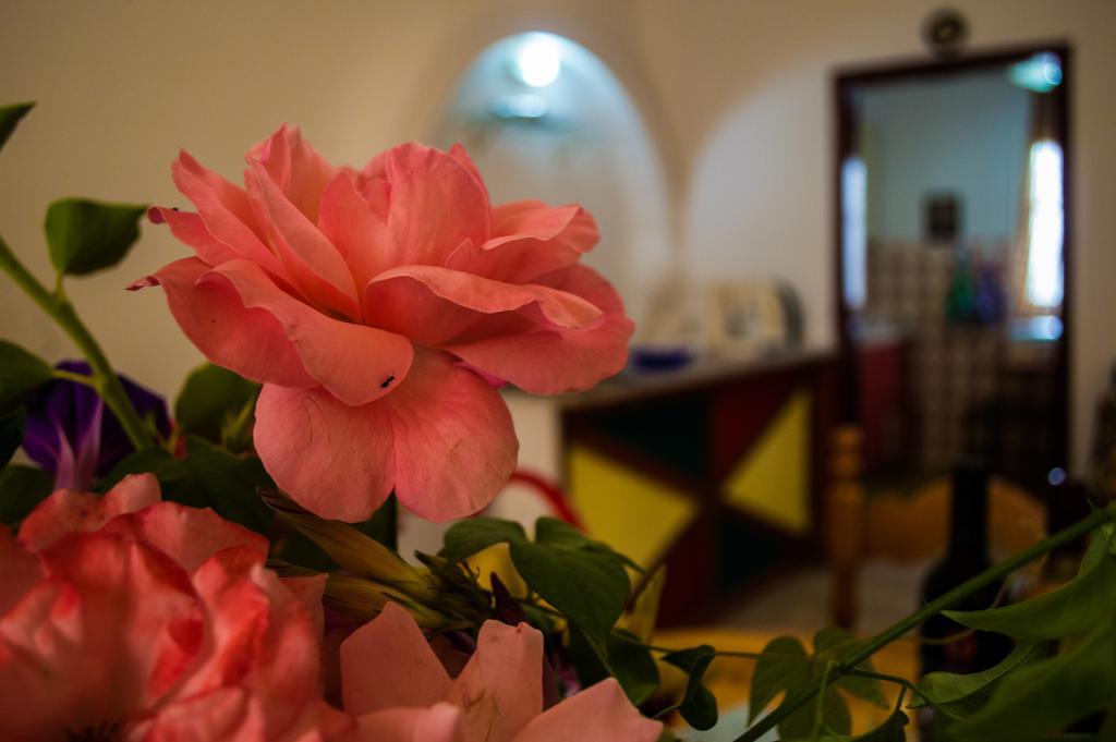 Agathi Beach House Agios Gordios  Bagian luar foto